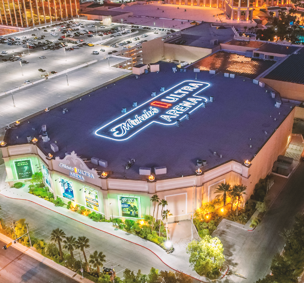 Michelob ULTRA Arena At Mandalay Bay